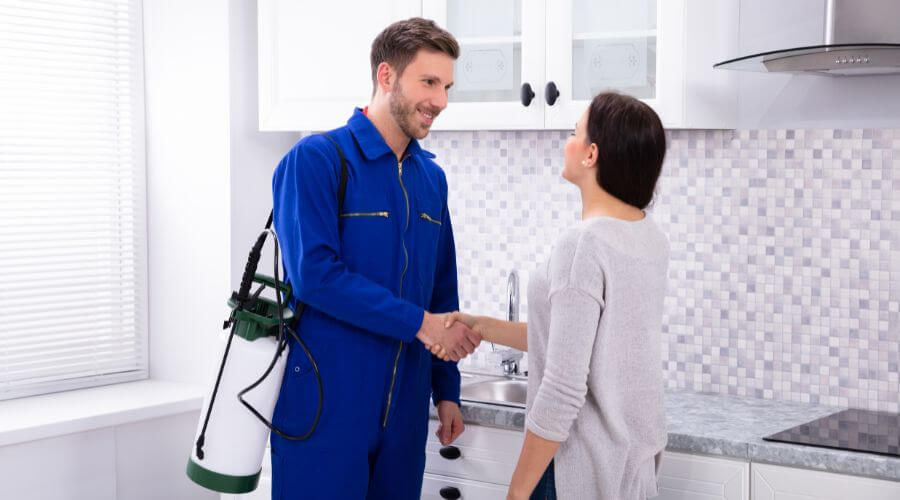 Why choose Pinellas Termite Inspections  Termite Control for termite inspections in Clearwater